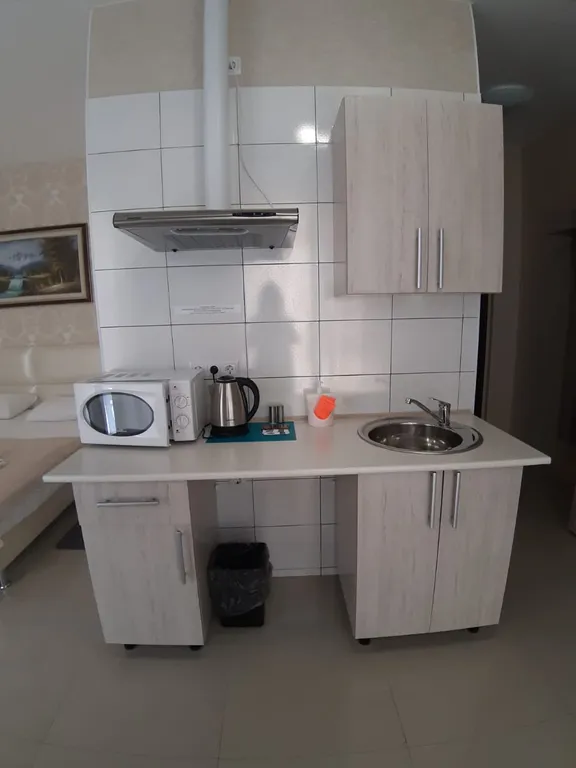 Просторная студия-комната в Олимпийском парке