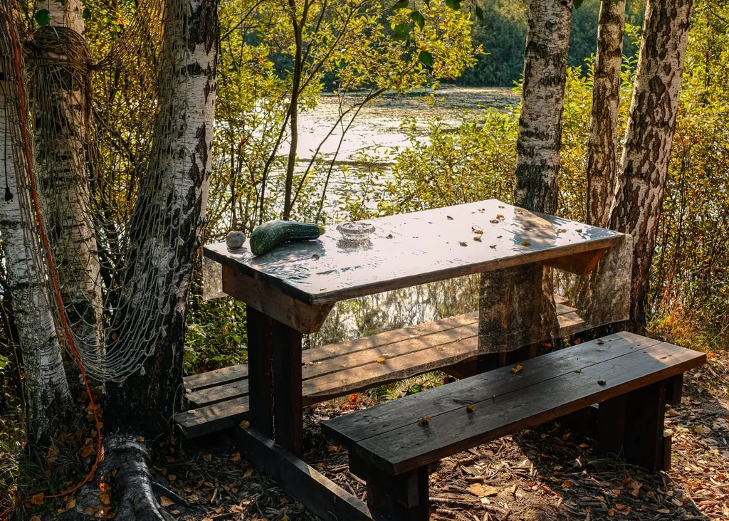 Чудо-дача, дом Капитан на берегу пруда
