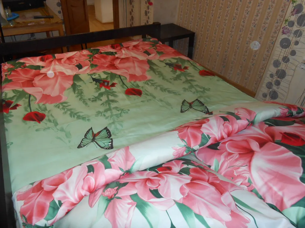 Квартира Комната в центре города — аренда посуточно в Санкт-Петербург