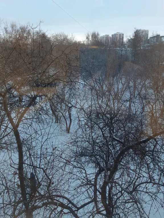 Квартира Уютная 2-х комнатная квартира в центре города — Новосибирск