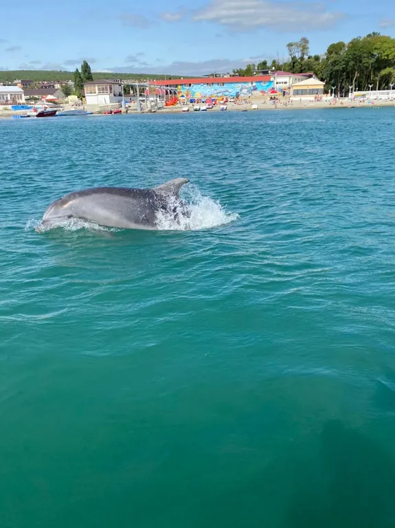 Квартира с лучшим видом на море