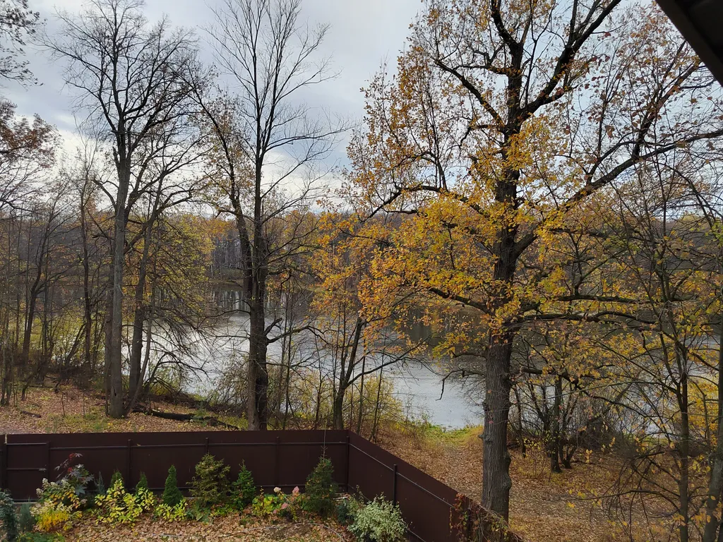 Дом в лесу у залива