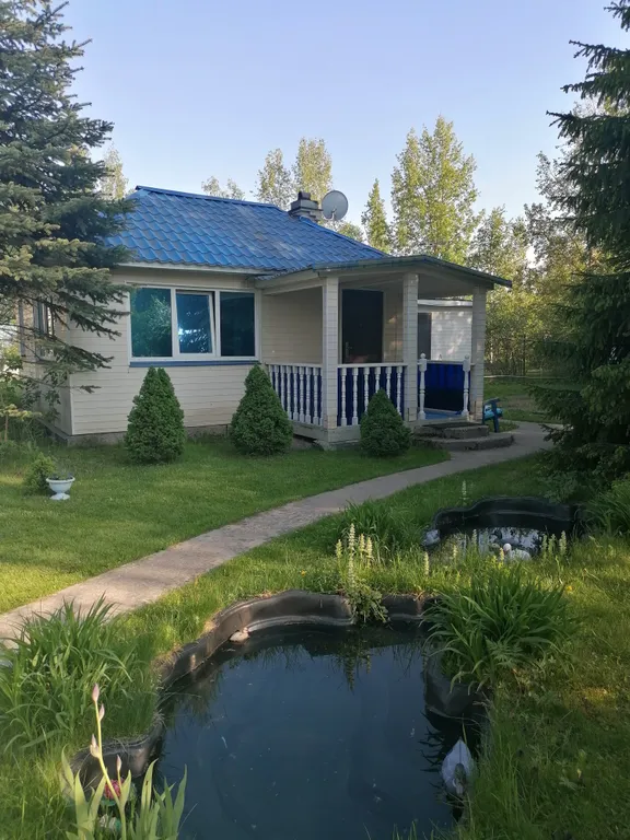 Коттедж Уютный загородный домик среди елок рядом с городом — Янино-1