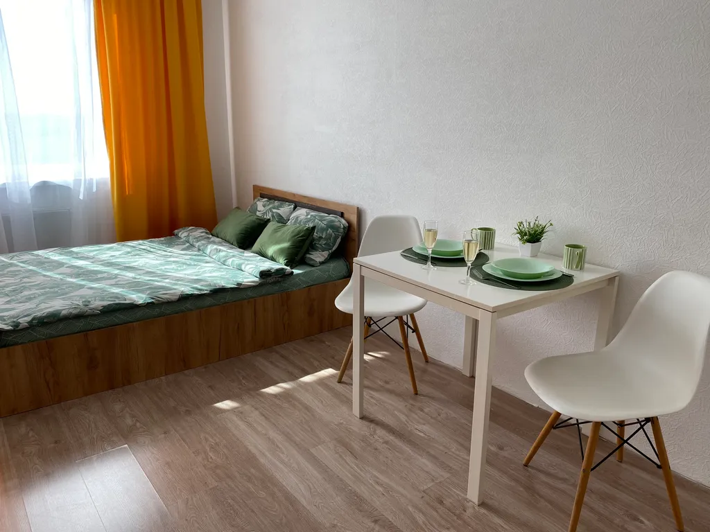 Уютная квартира-студия с видом на Москва реку