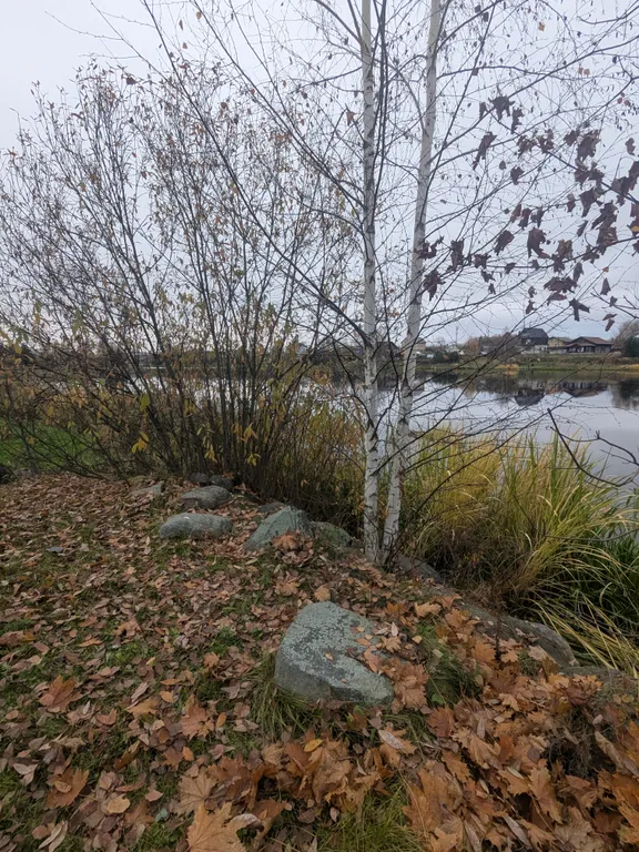 Уютный дом на берегу реки с русской баней, рыбалка