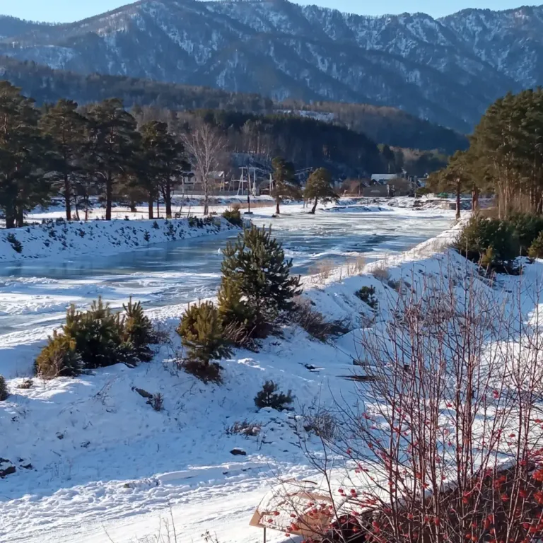 Коттедж Дом на берегу реки чемал — аренда посуточно в Чемал