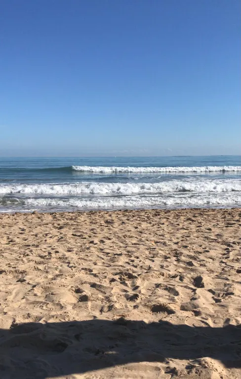 Квартира Квартира на берегу Балтийского моря — Светлогорск