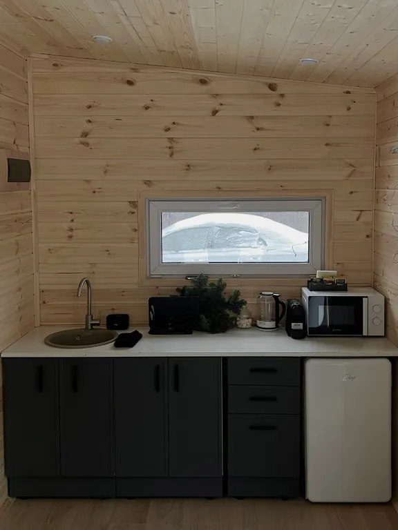 Лесной сканди домик