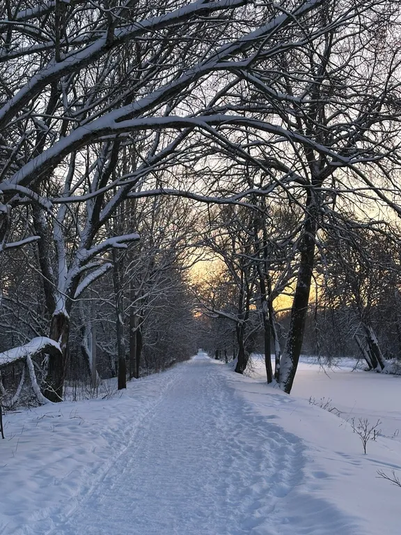 Дом у петергофа с сауной и банным чаном