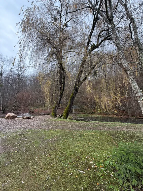 Двухкомнатный домик с видом на озеро