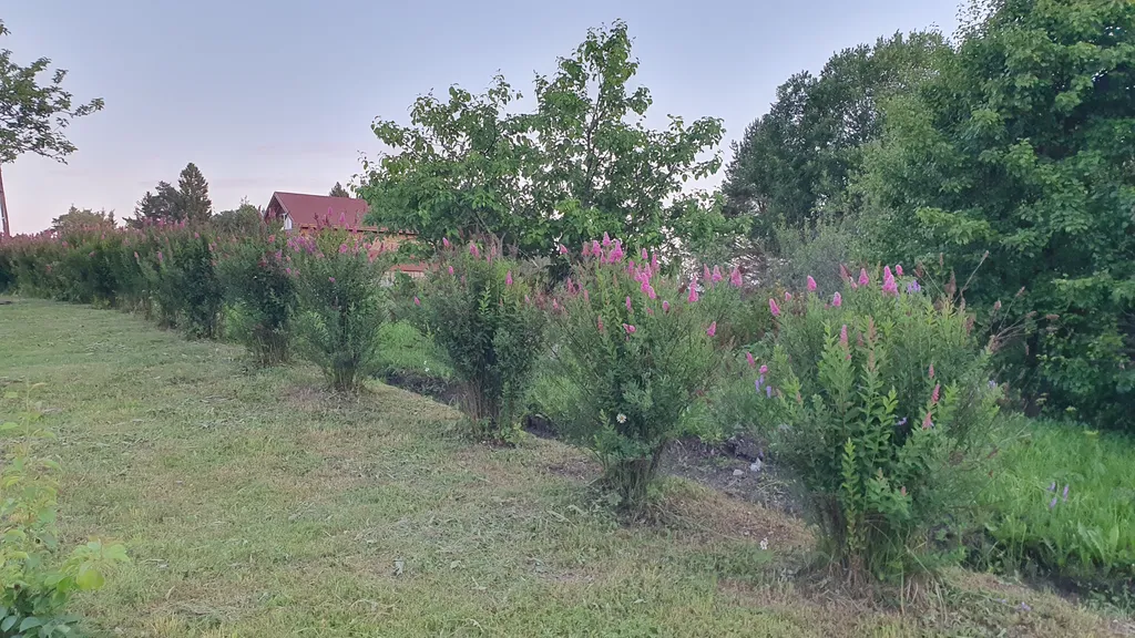 Гостевой дом Хижина у Озера