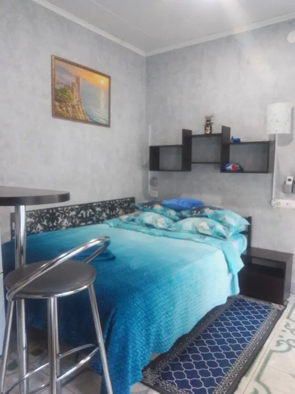 Квартира Квартира Комфортная министудия в частном домовладении возле вокзалов — Севастополь