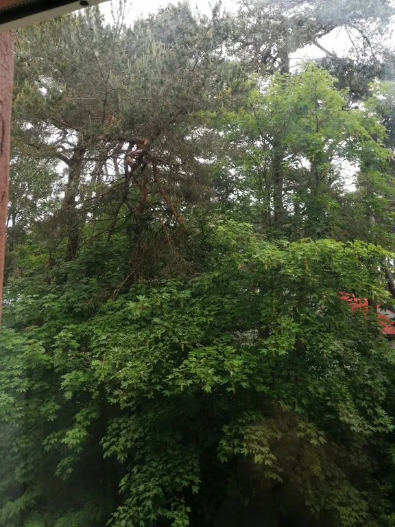 Уютная квартира в историческом центре