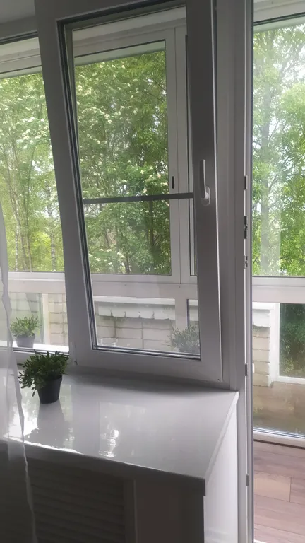 Апартаменты с видом на реку и лес (закаты, рассветы, пение птиц)