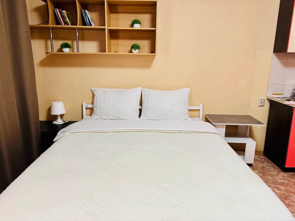 Уютная квартира-студия в центре города