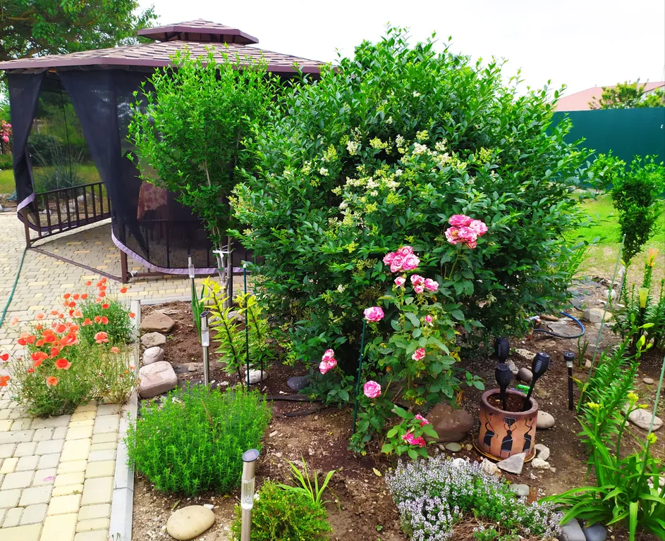 Отдельный домик для каждой семьи