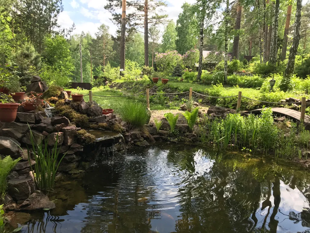 Сказочный дом в лесу