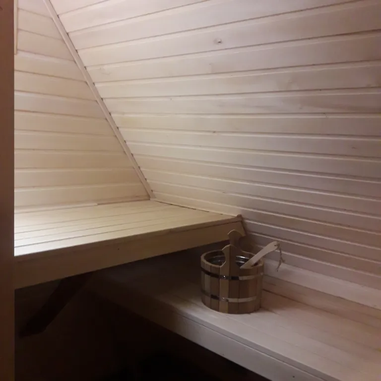 Уютный дом с баней и купелью в сосновом бору