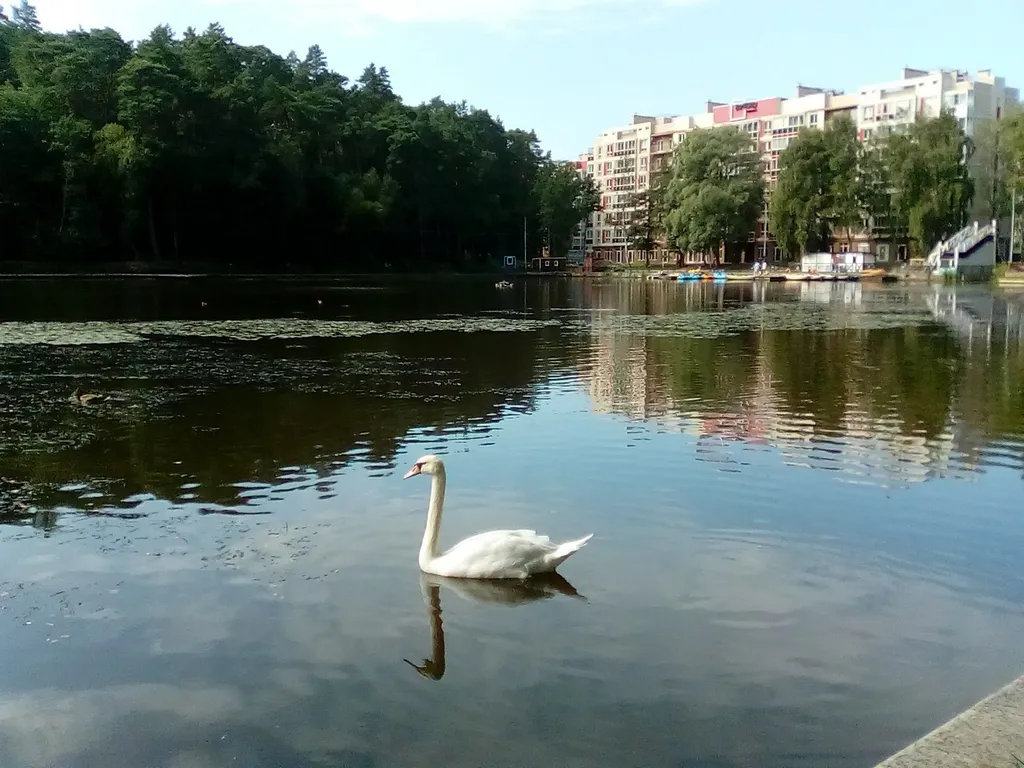 Квартира у моря, с видом на озеро и сосновый бор