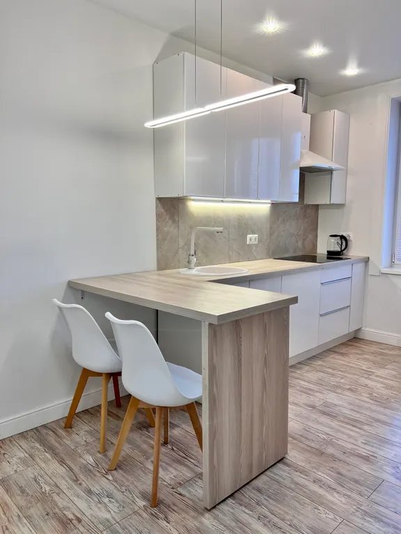 Студия с видом на Лавру