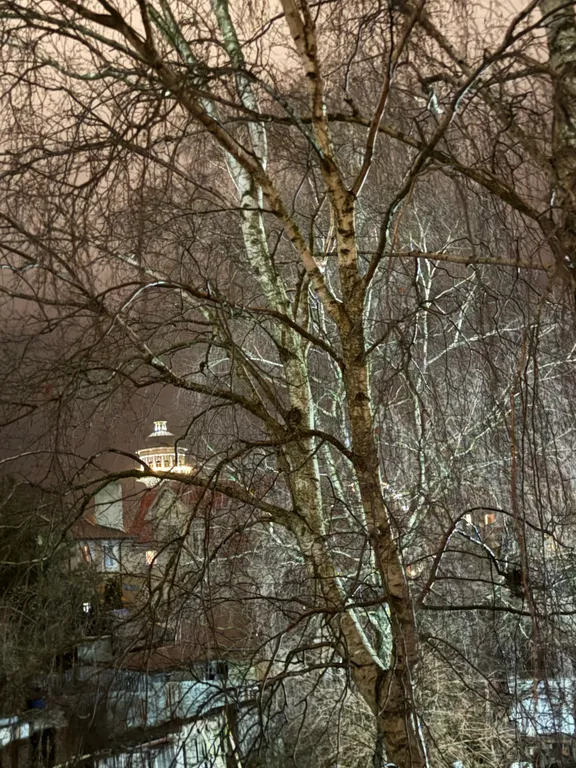 Квартира 2-х комнатная квартира в центре — Зеленоградск