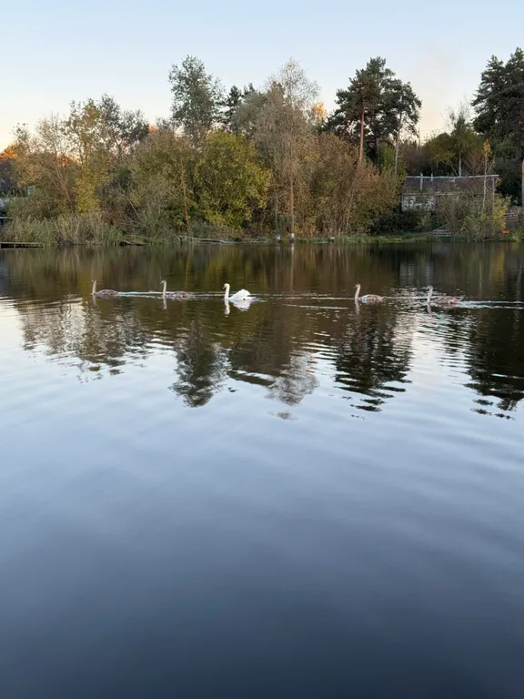 Милый и уютный домик, идеально подходящий для комфортного проживания