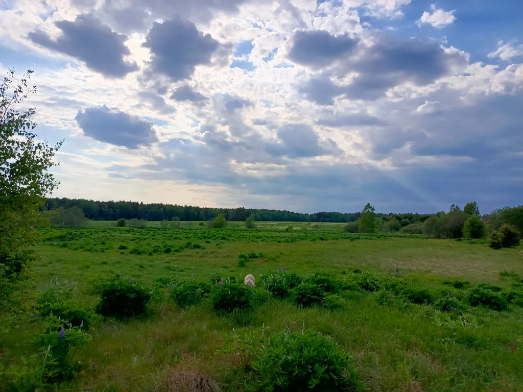 Просторный дом с баней в тихой деревушке у реки