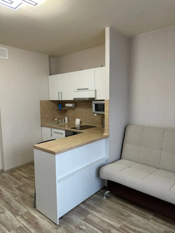 Уютная студия в центре города