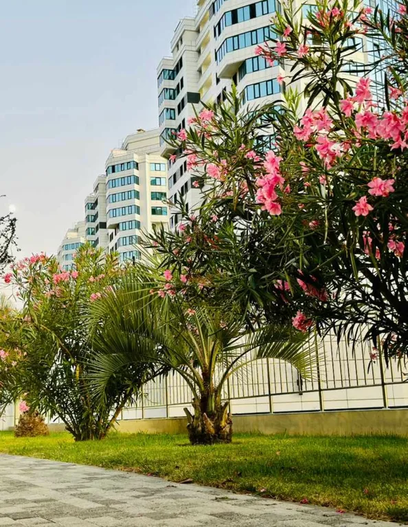 Квартира с шикарным видом на море