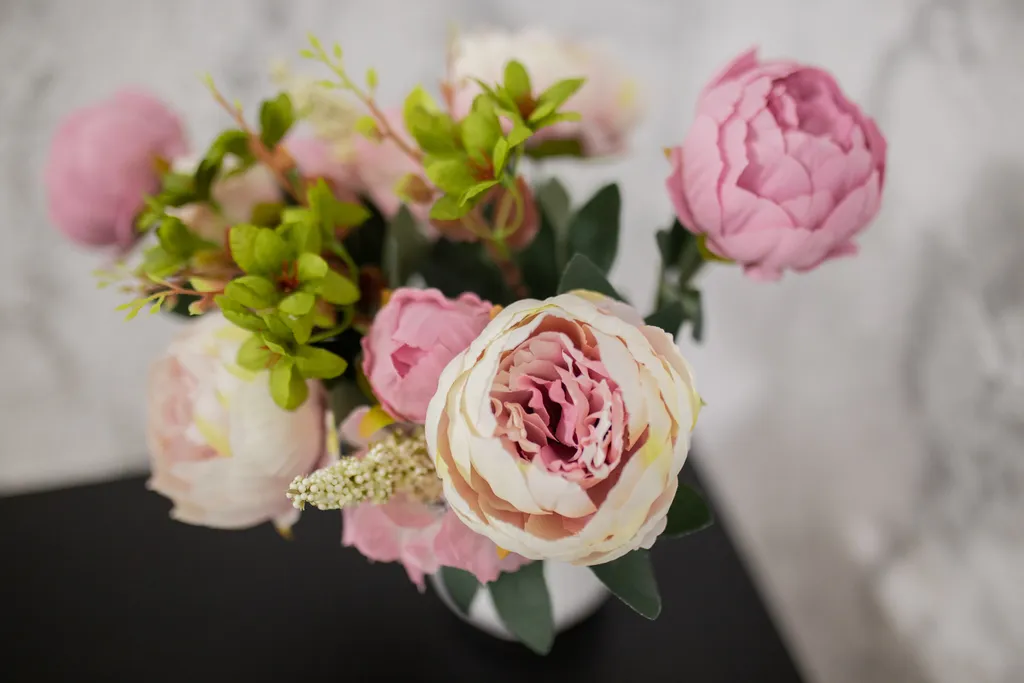 ⟡︎︎︎АльфаХоумПлюс в Центре⟡︎︎︎Отчетные Документы⟡︎︎︎Заселение 24/7⟡︎︎︎