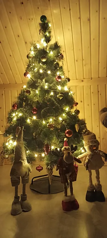 Новый деревенский дом Постоялый двор