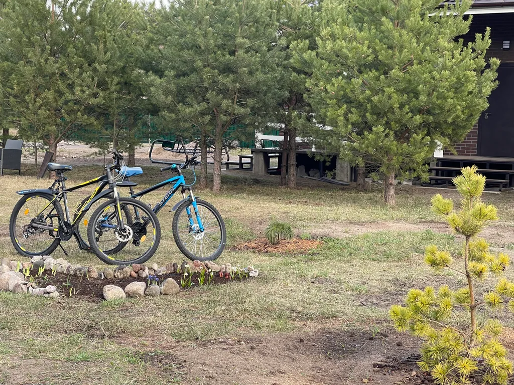 Коттедж Уютный дом с камином и сауной у озера — Ларионово