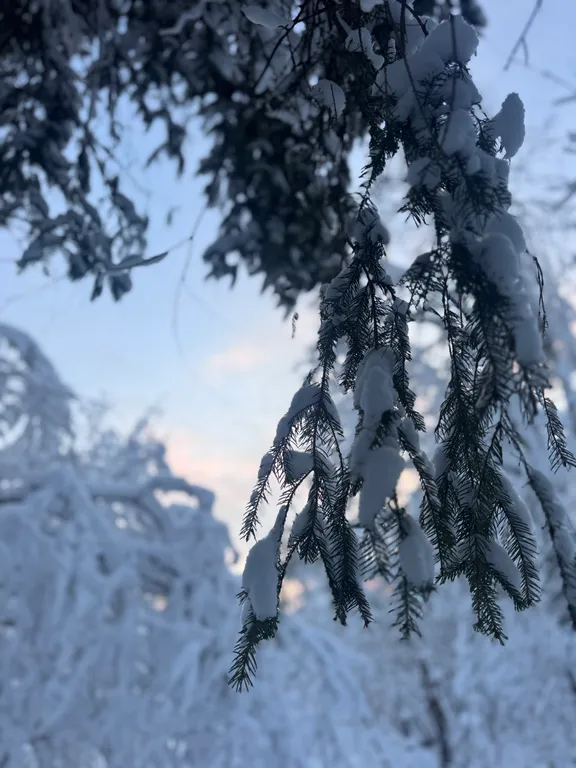 Коттедж Дом у леса — Истра