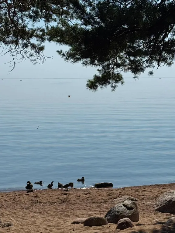 Коттедж Дом из контейнера на побережье Финского залива — Санкт-Петербург