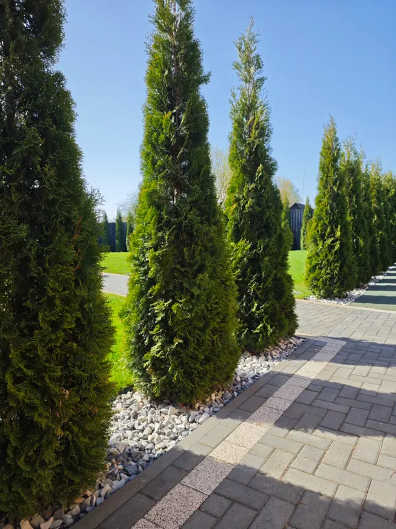 Уютный современный BarnHouse с хаммамом и купелью