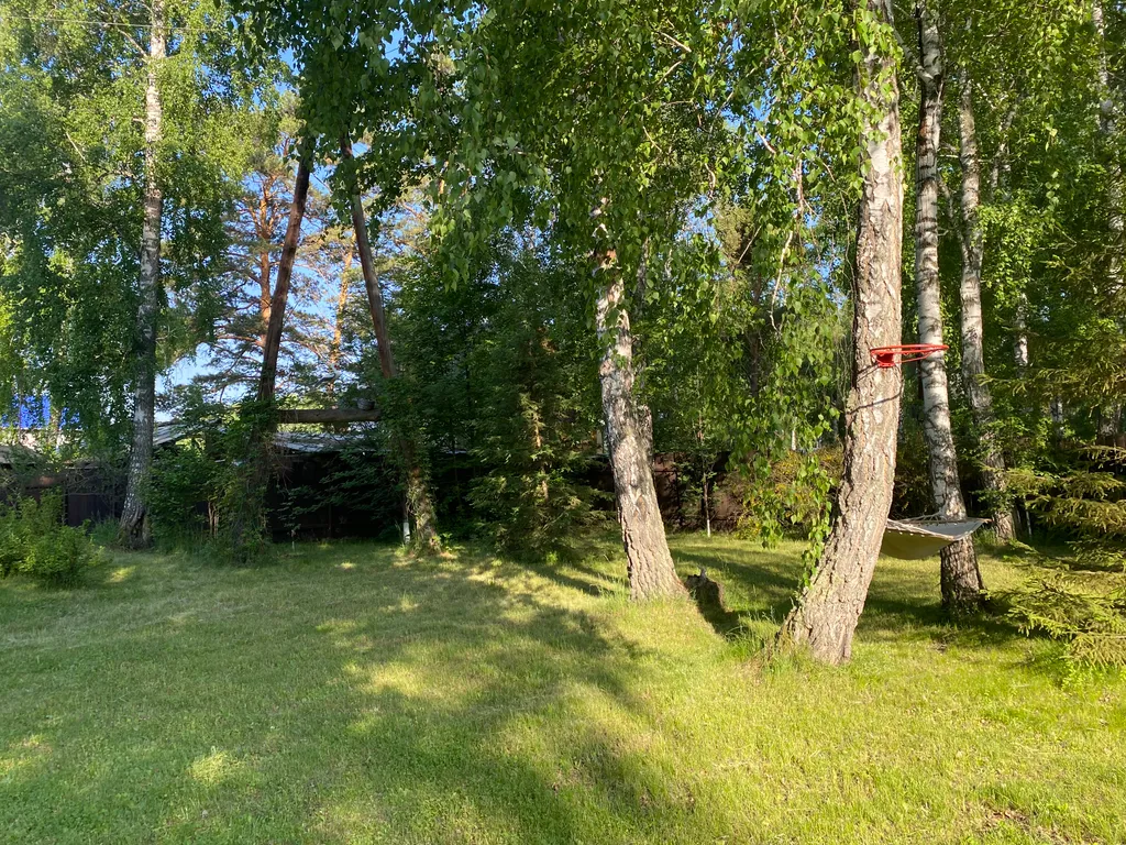 Гостевой дом в лесу