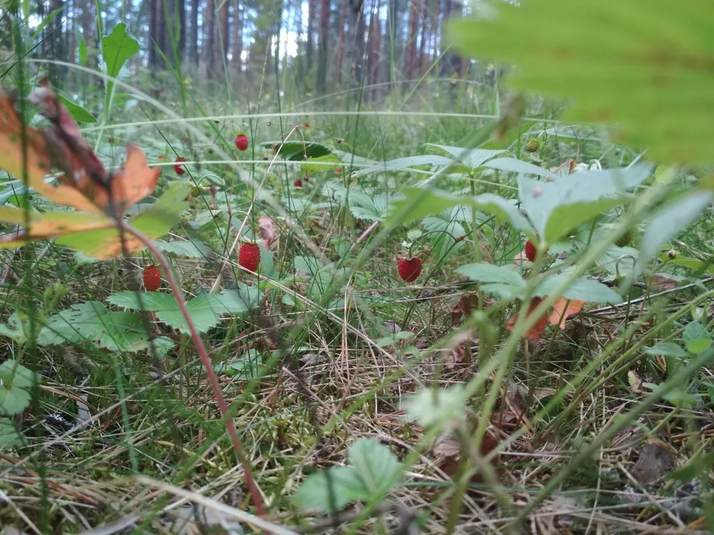 Домик с видом на озеро