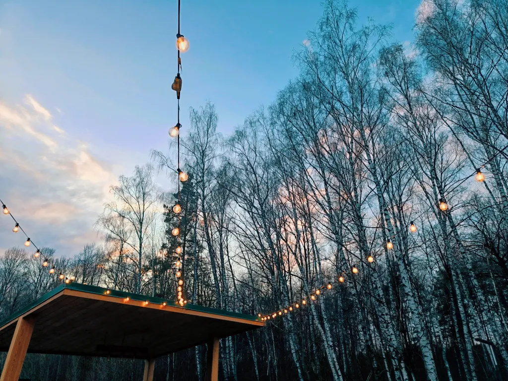 Дом в лесу с баней и чаном