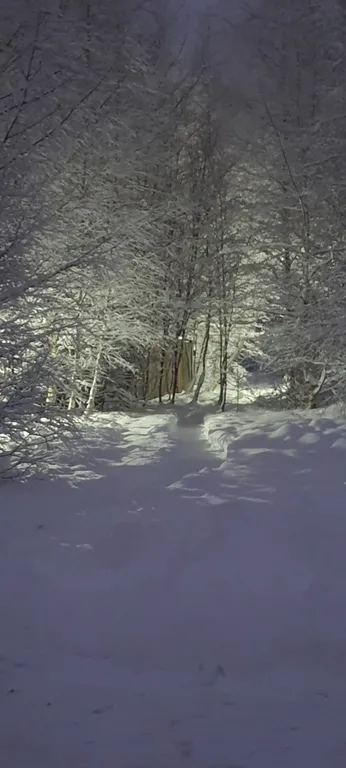 Коттедж Дом (A) с сауной и видом на лес — Пашуково