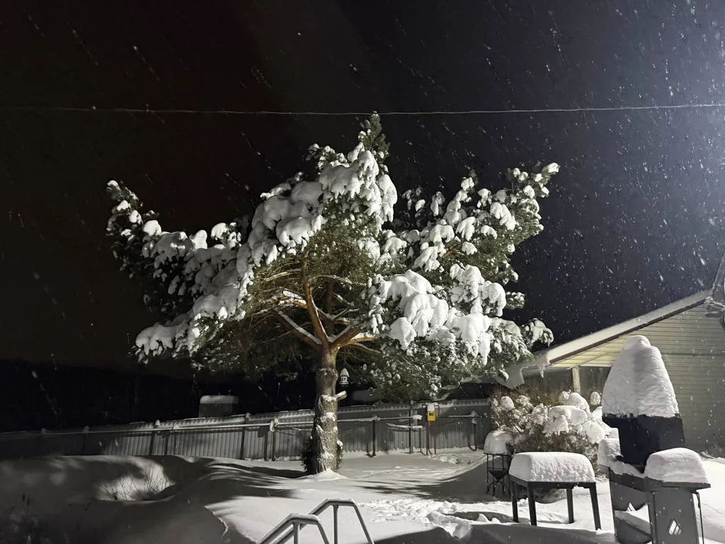 Выход из суеты - не дача Бобёр и Соловьи