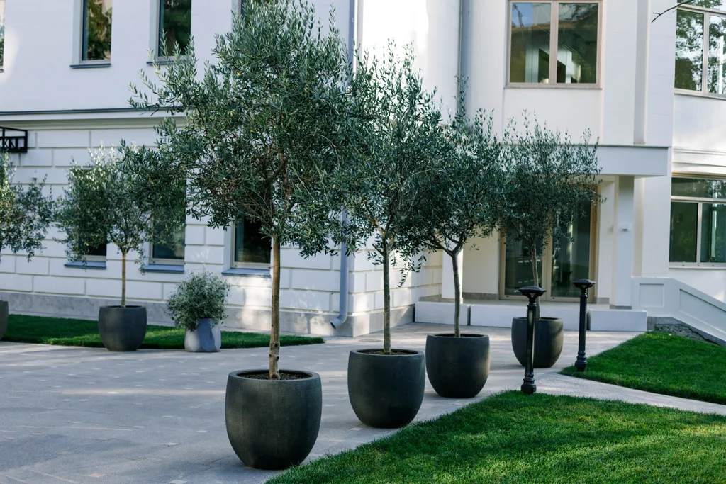 Улучшенный апартамент с балконом Парк и море Люмьер