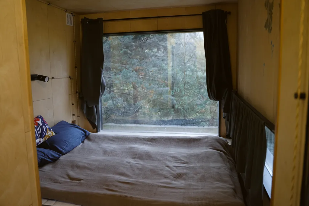 Папоротник