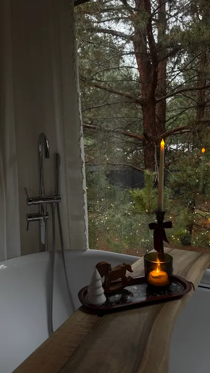 Скандинавский дом с ванной внутри и видом на лес