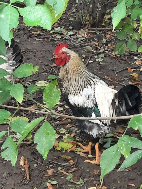 Домик в деревне в 5 километрах от моря