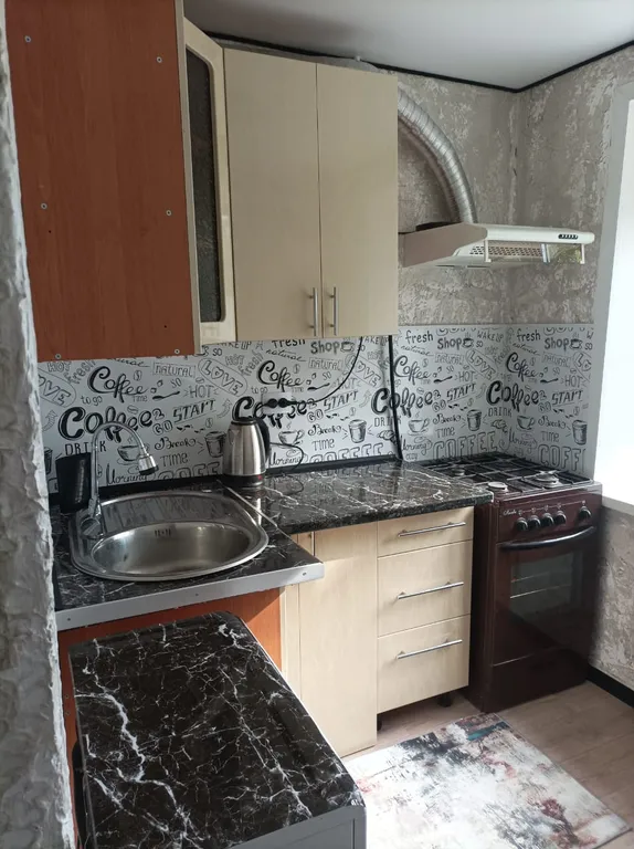 Уютная квартира в центре города около озера