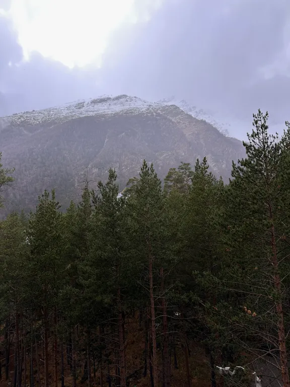 Видовая квартира в Терсколе