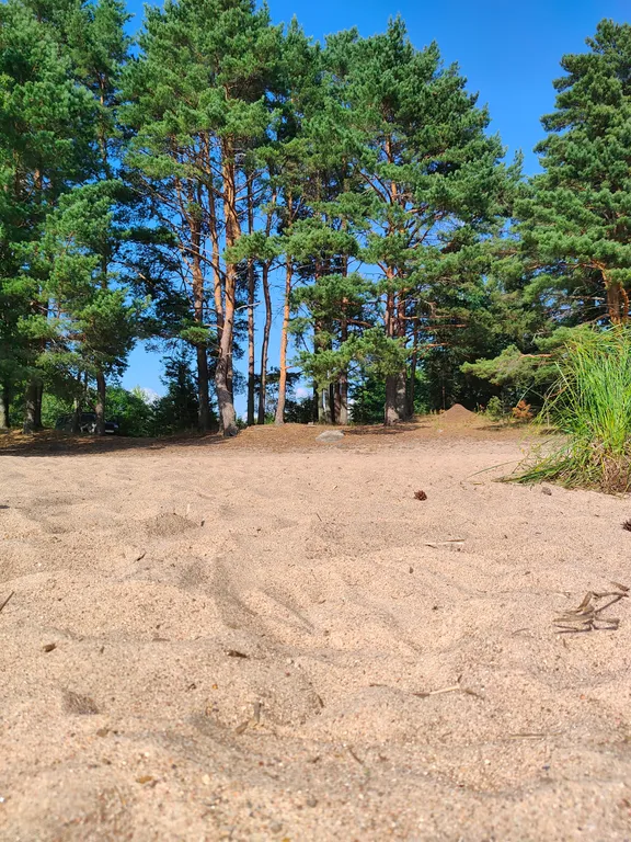 Дом на Селигере