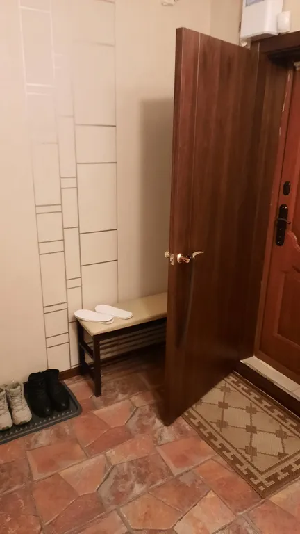 Большая уютная однокомнатная квартира