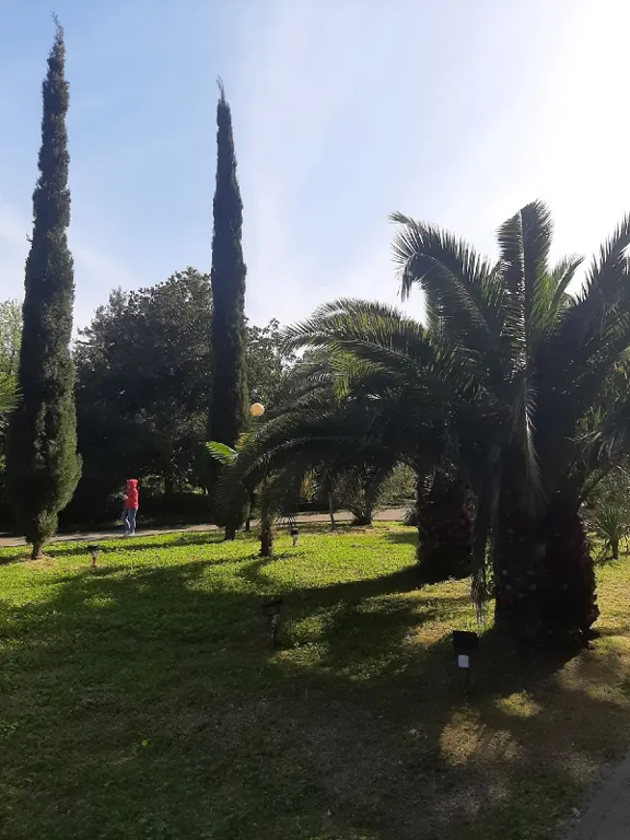 Квартира Квартира Студия у моря — Адлер