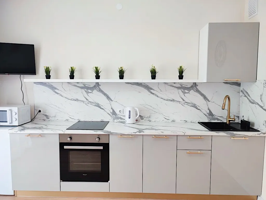 Однокомнатные апартаменты с современным ремонтом